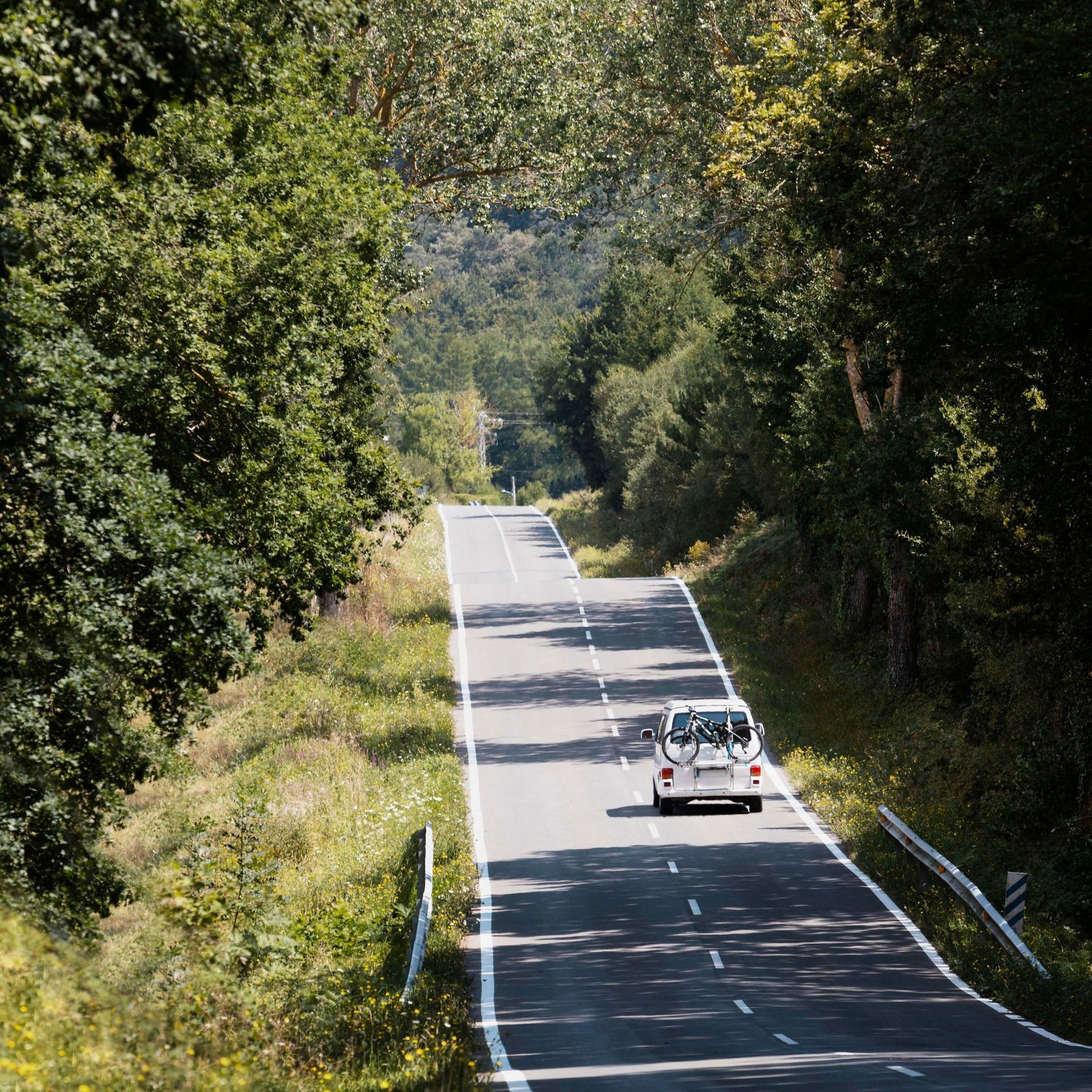 A white car with a bike rack travels down a tree-lined, winding road on a sunny day.
