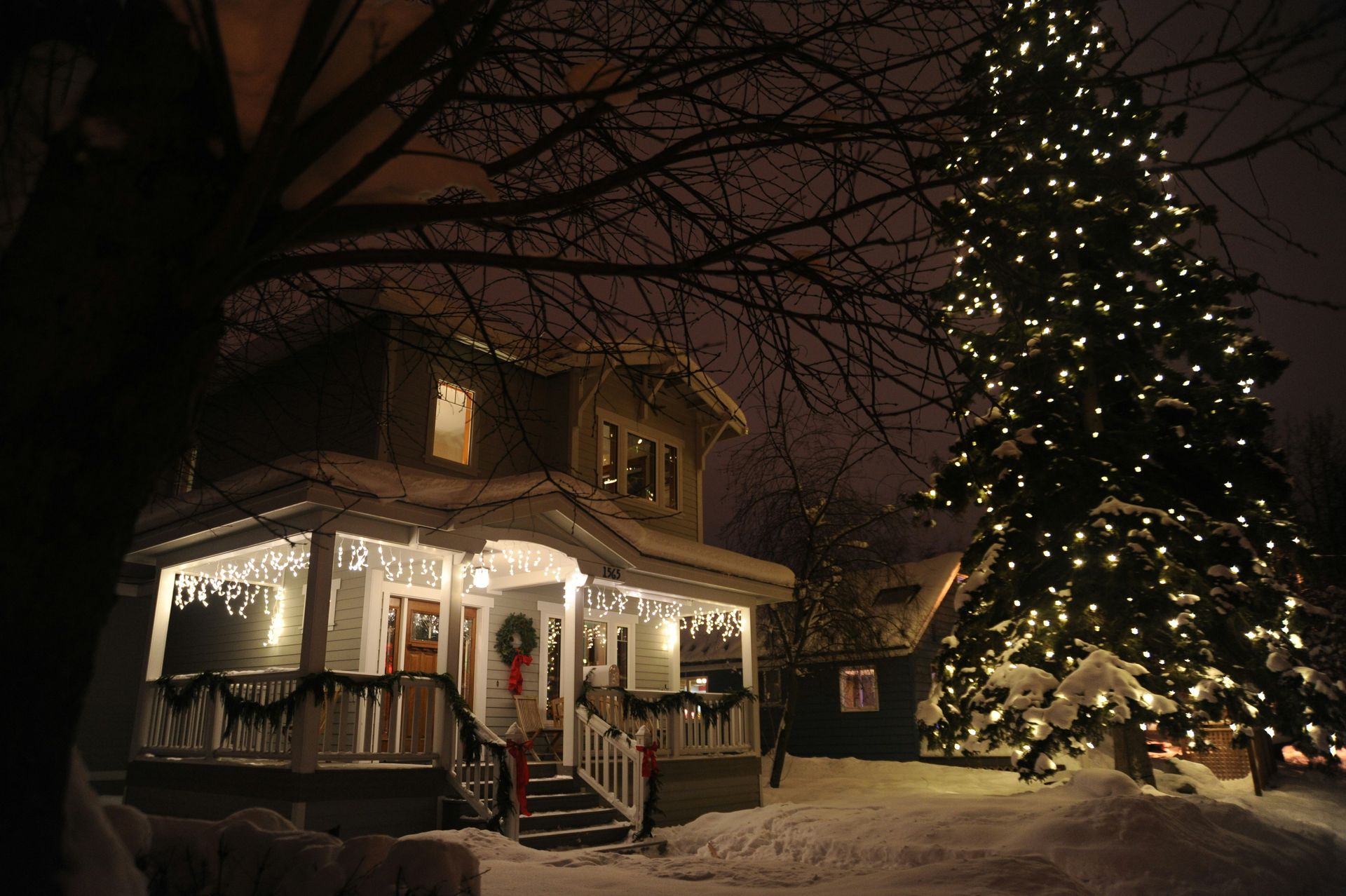A house decorated with holiday lights next to a large, illuminated Christmas tree in a snowy, nighttime yard.