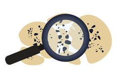 mold detection service