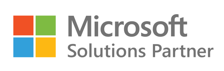 ERP Consultation Services