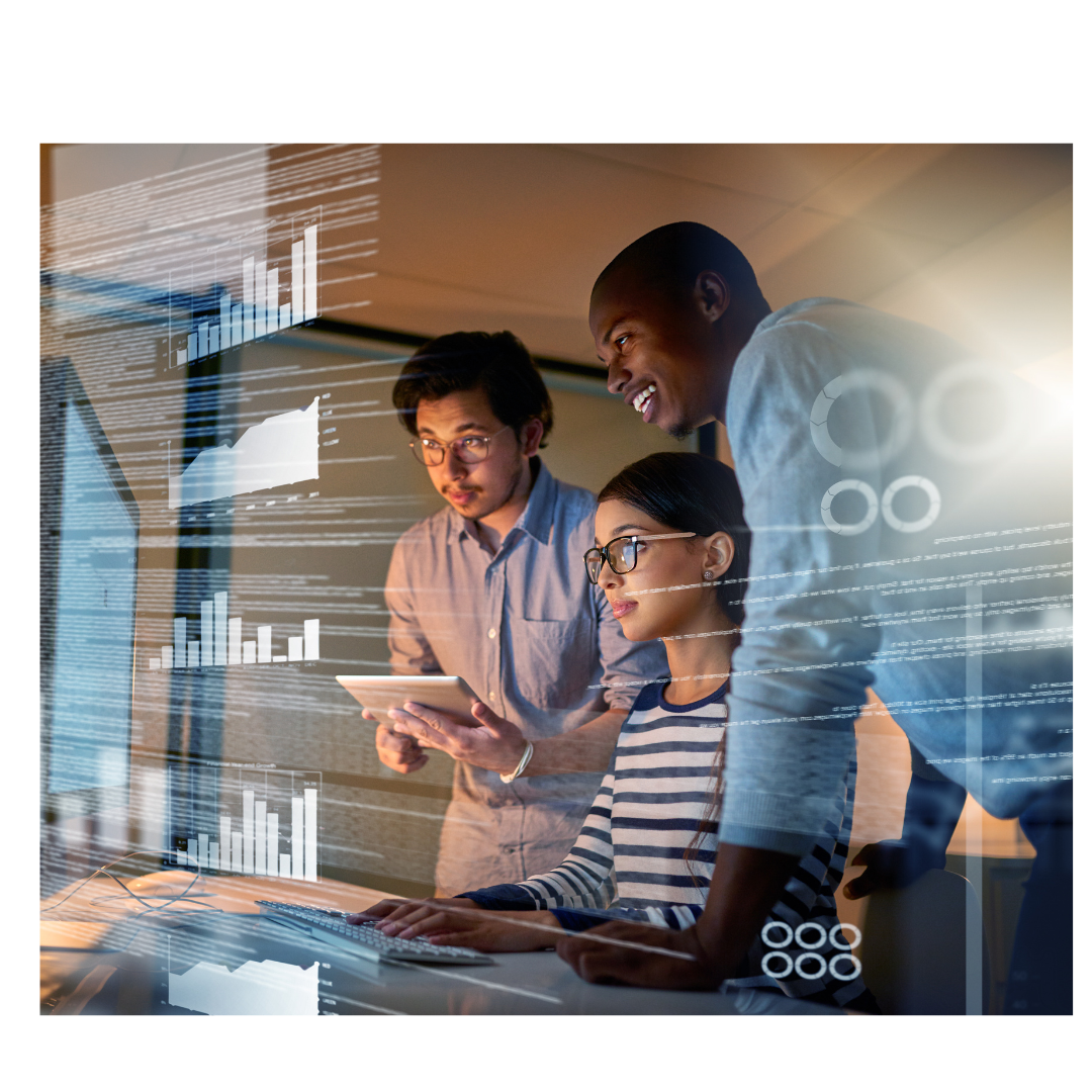 ERP Consultation Services