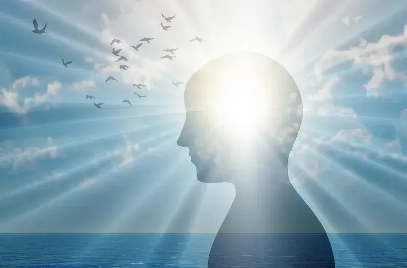 A silhouette of a man 's head with birds flying out of it.