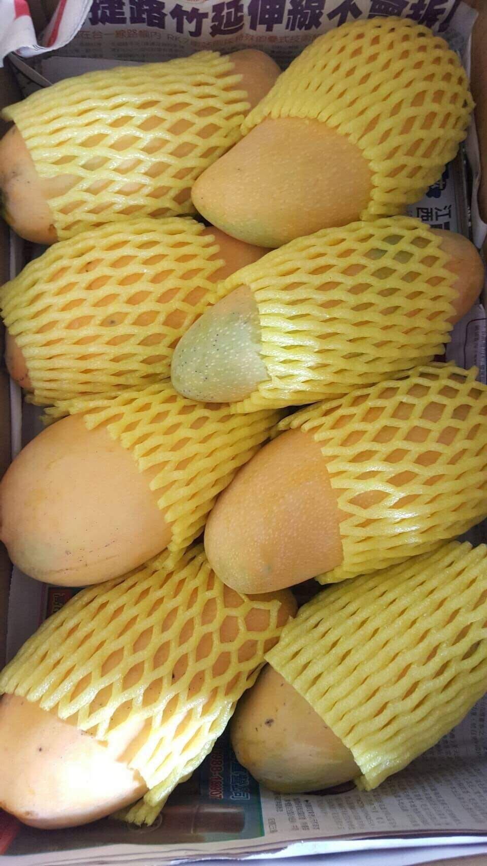 嚴選金煌芒果