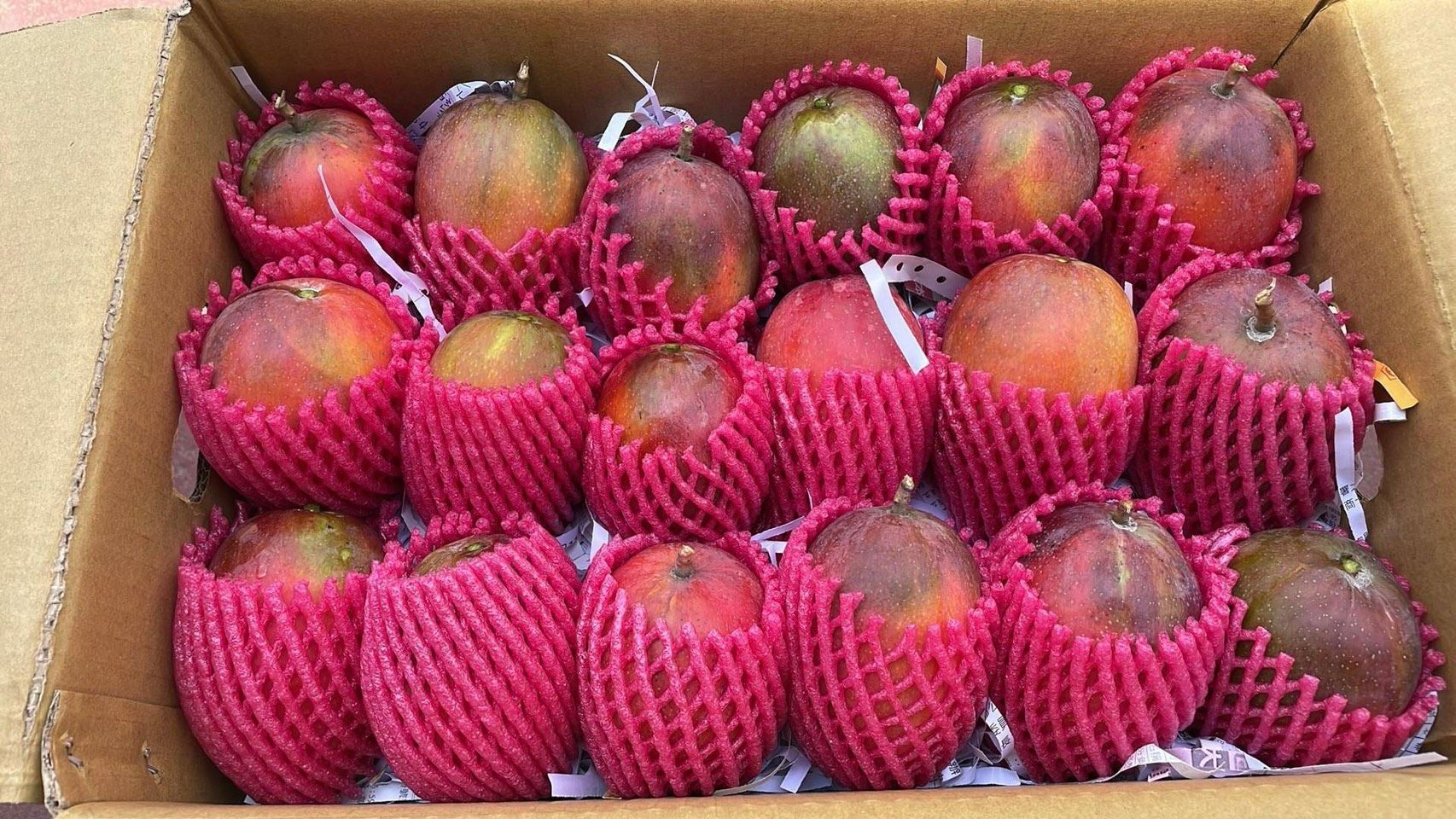 新鮮愛文芒果15顆