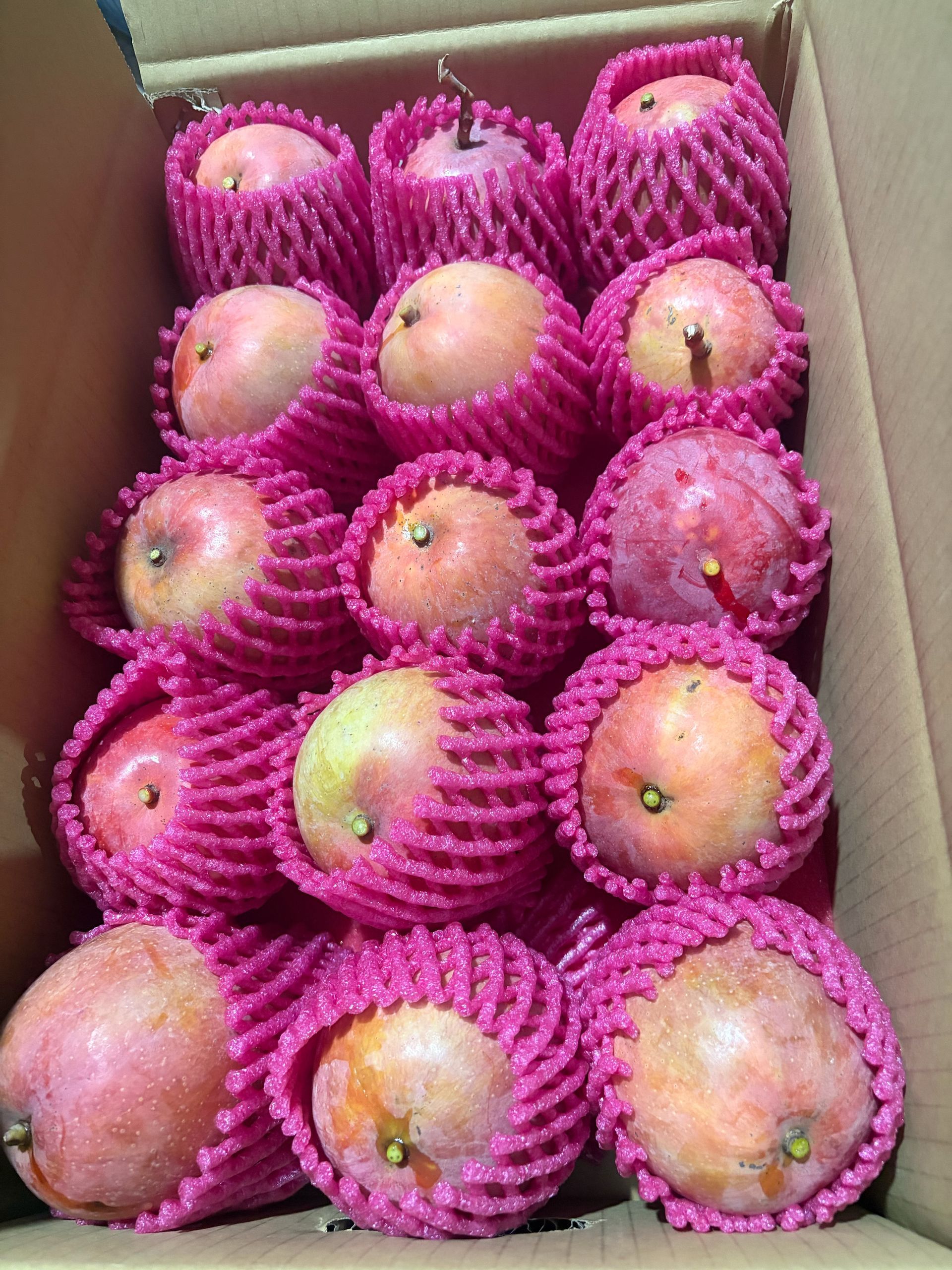 新鮮慢文芒果
