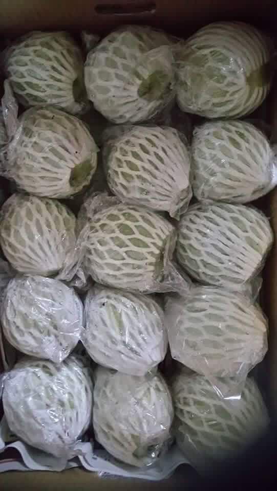 新鮮水果-芭樂一箱