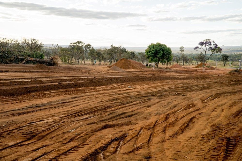 Land Clearing/Land Management Services