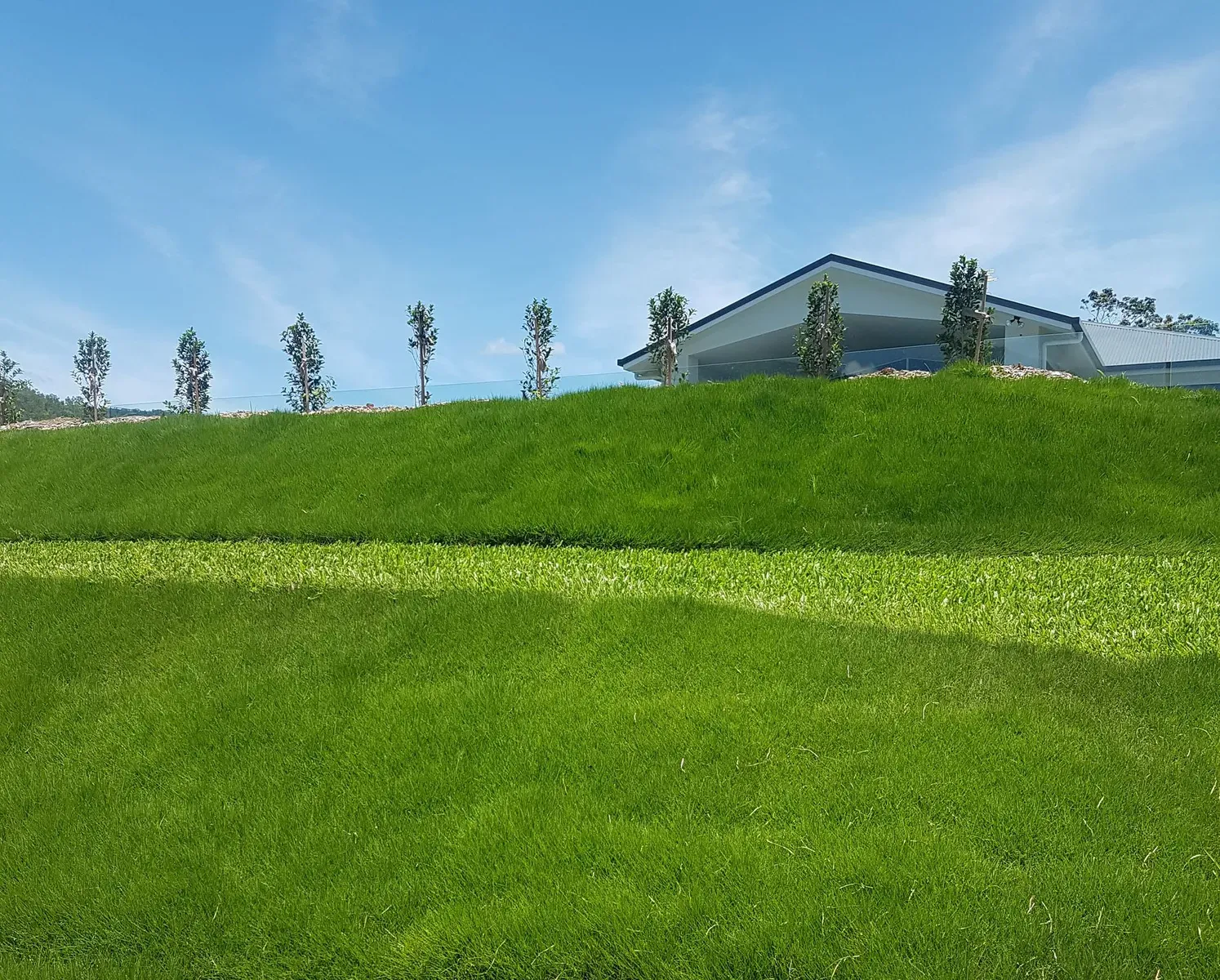 Grassy Hillside Under a Blue Sky, With Trees and a Modern Building in the Distance — Tropical Lawns in Mulgrave, QLD