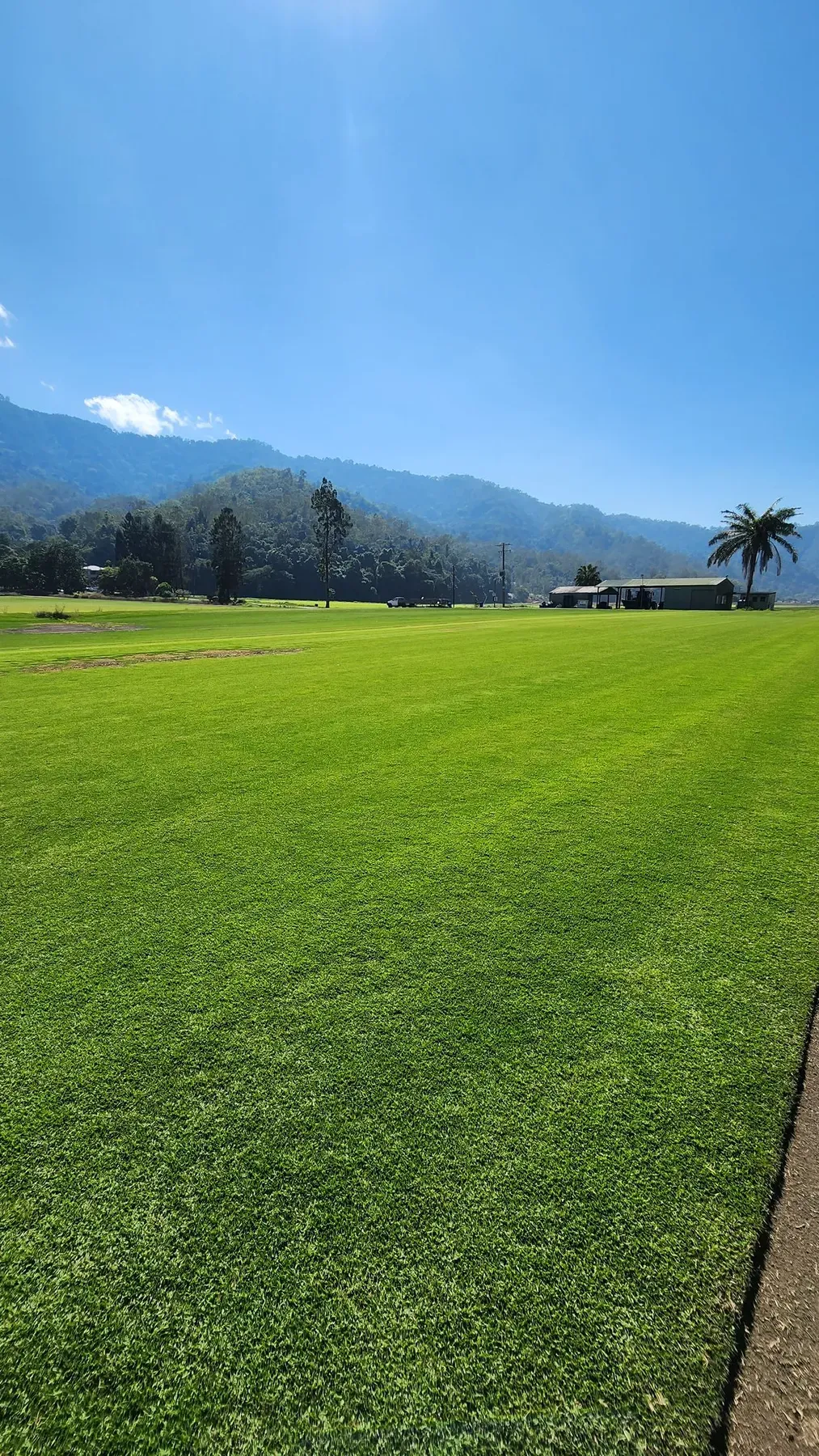 Bright Green Field Under a Blue Sky With Mountains in the Distance — Tropical Lawns in Mulgrave, QLD