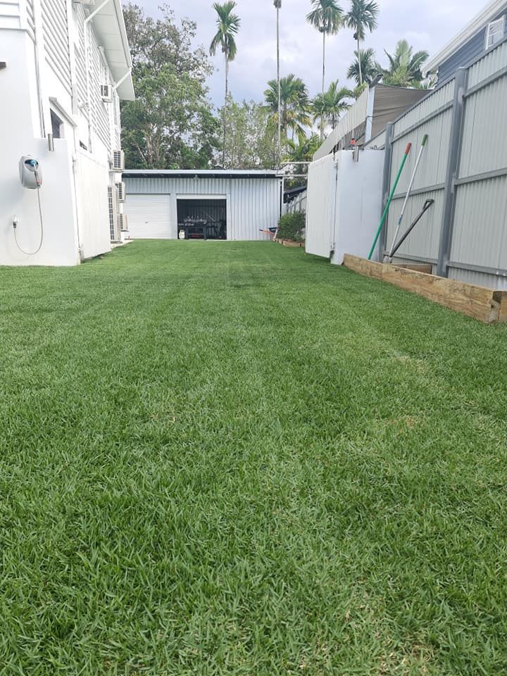 Narrow Grassy Backyard Between White Buildings, With a Shed and Tall Fence — Tropical Lawns in Mulgrave, QLD