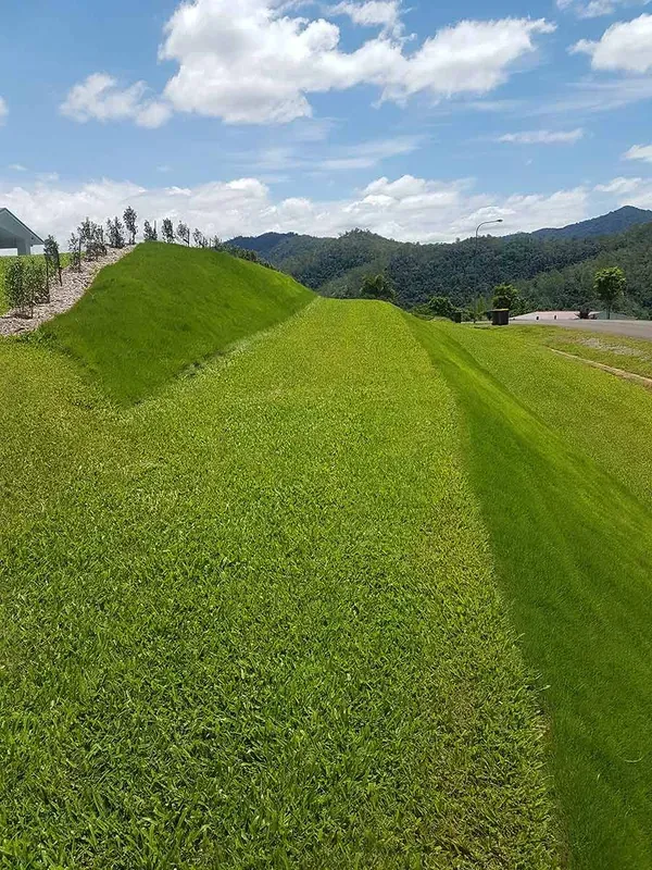 Bright Green Grassy Embankment Under a Blue Sky With Hills in the Distance — Tropical Lawns in Mulgrave, QLD