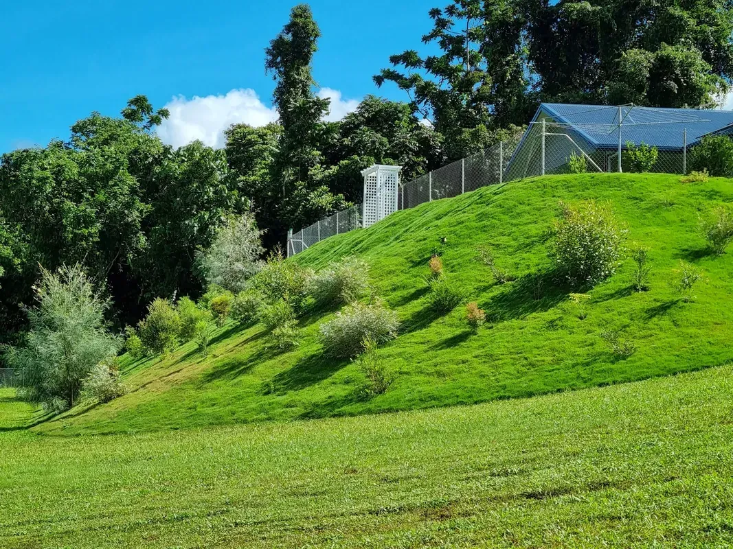 Green Grassy Hillside With Trees, a Fenced Area, and a Blue Sky on a Sunny Day — Tropical Lawns in Mulgrave, QLD