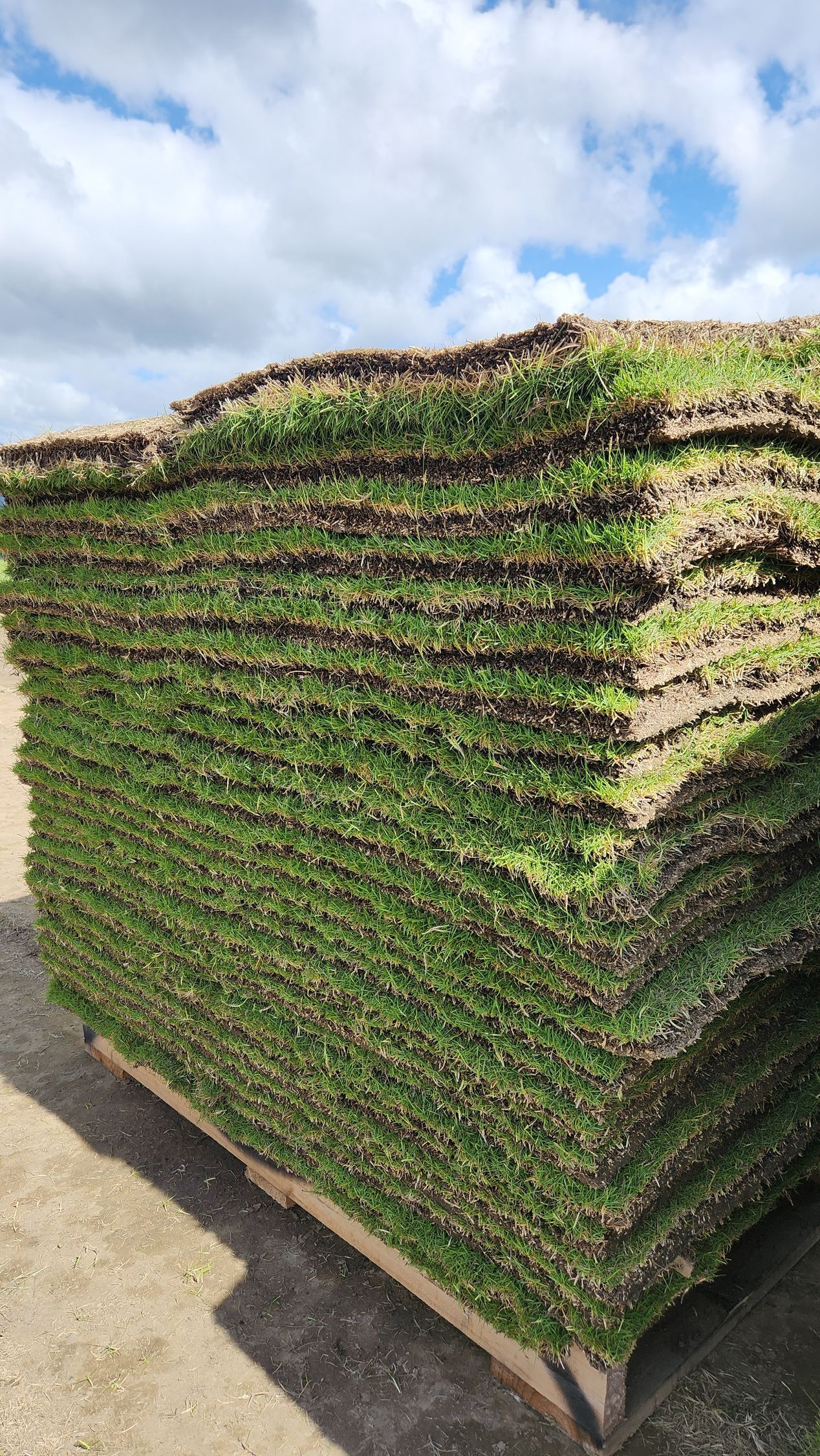 Stacked Rolls of Green Sod in A Large Rectangular Bundle Outdoors Under a Cloudy Sky — Tropical Lawns in Mulgrave, QLD