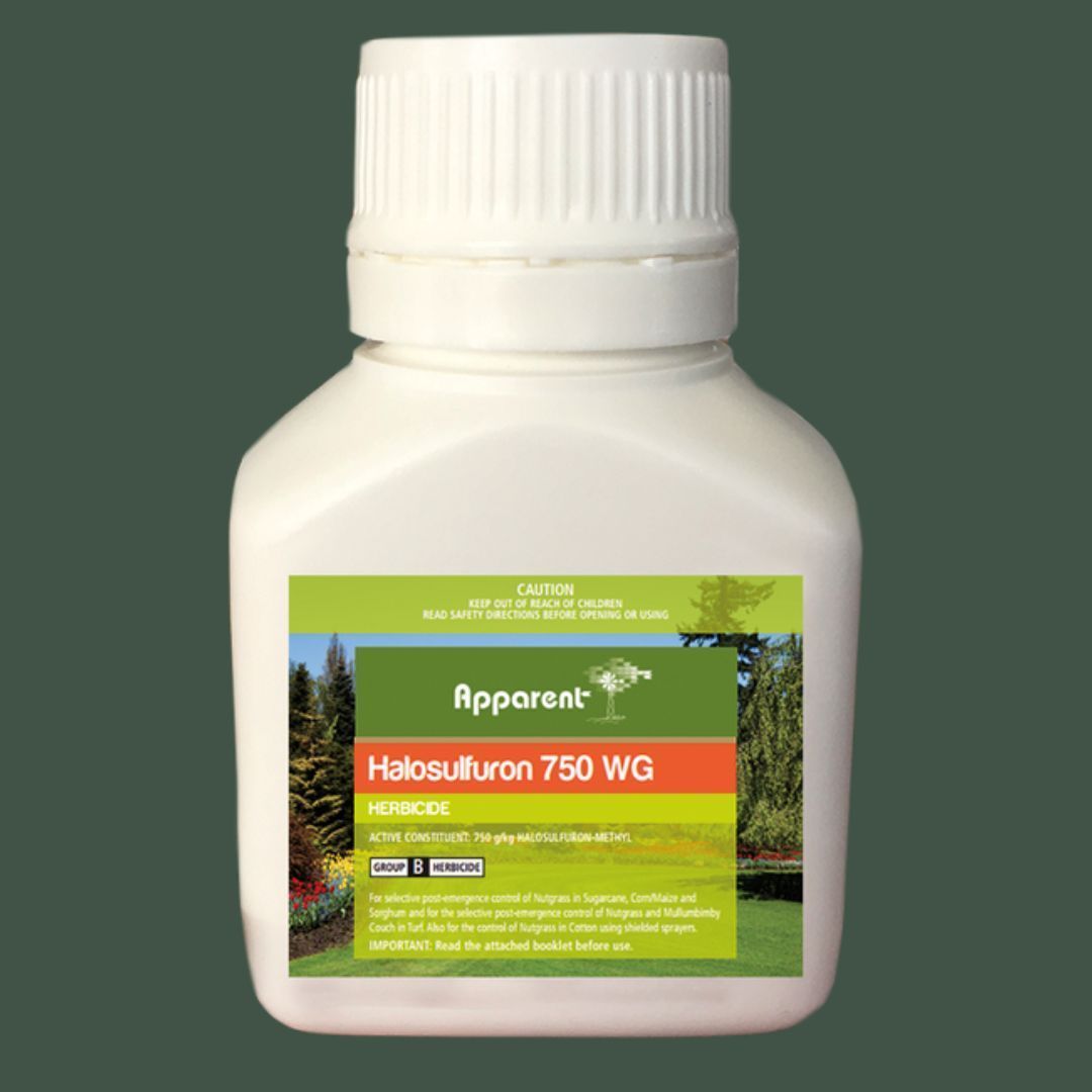 Halosolfuron (Sempra) 100g — Tropical Lawns in Mulgrave, QLD