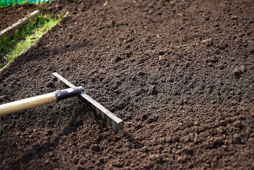 Garden Hoe Resting on Freshly Tilled Dark Soil Beside a Green Grassy Edge — Tropical Lawns in Mulgrave, QLD