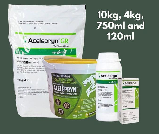 Acelepryn GR — Tropical Lawns Pty Ltd In Little Mulgrave QLD