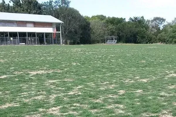 Grassy Sports Field With a Small Building and Trees in the Background — Tropical Lawns in Mulgrave, QLD