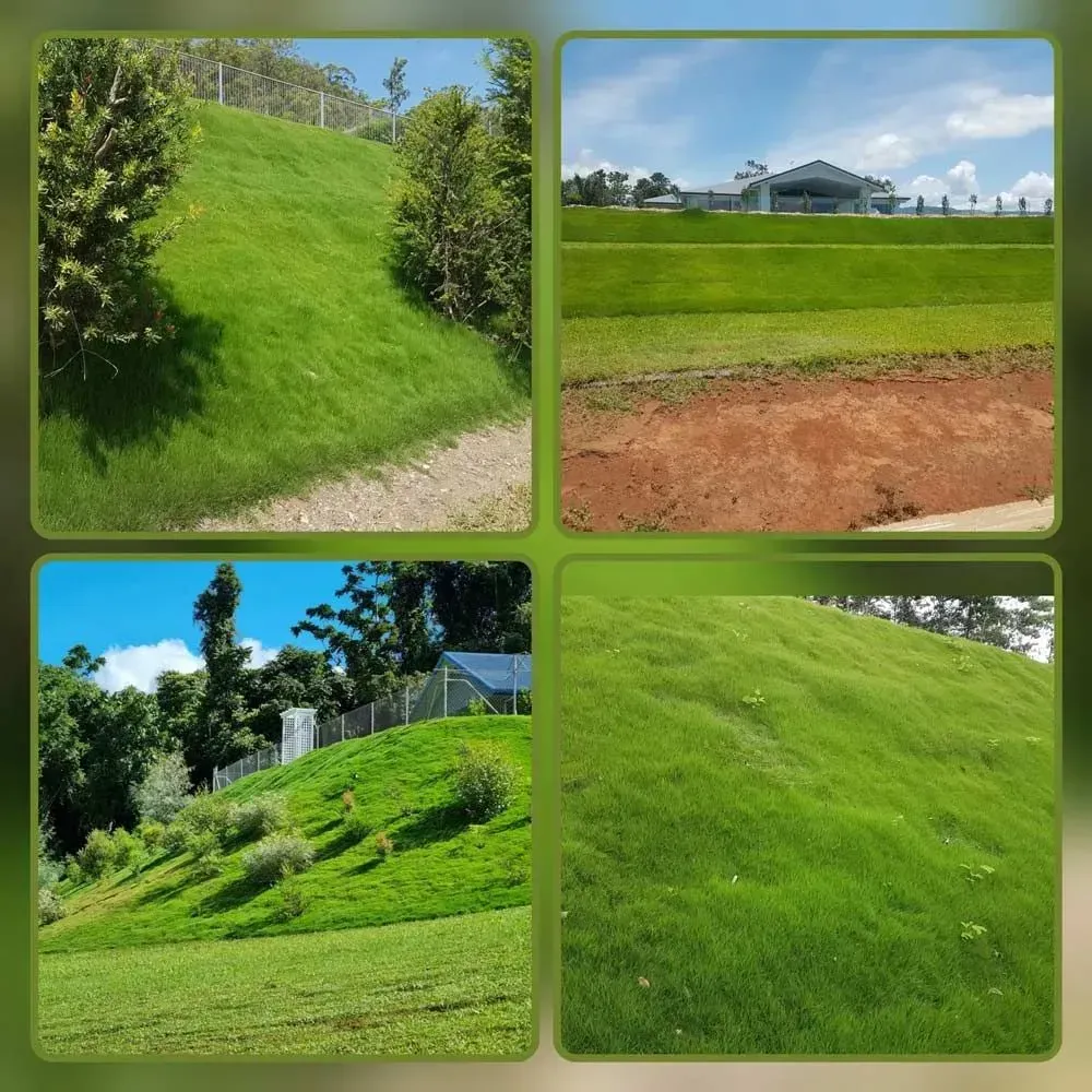 Collage of Lush Green Grassy Slopes and a Landscaped Lawn Under a Bright Blue Sky — Tropical Lawns in Mulgrave, QLD