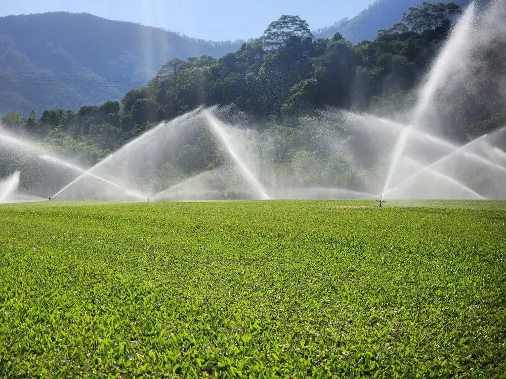 Sprinklers Watering a Green Field With Mountains in the Background — Tropical Lawns in Mulgrave, QLD