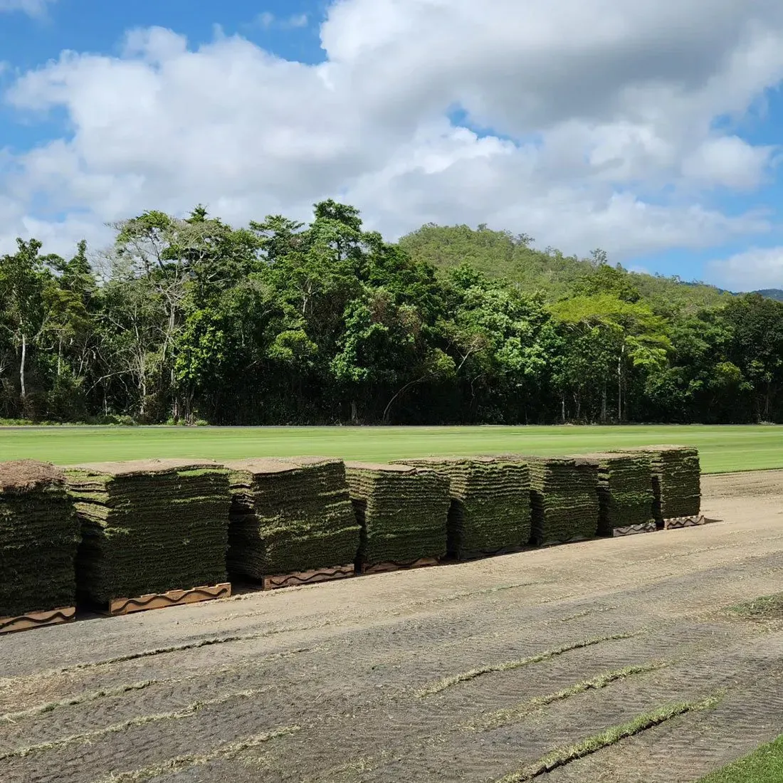 Stacks of Green Sod Bales Beside a Gravel Road, With a Grassy Field and Trees — Tropical Lawns in Mulgrave, QLD