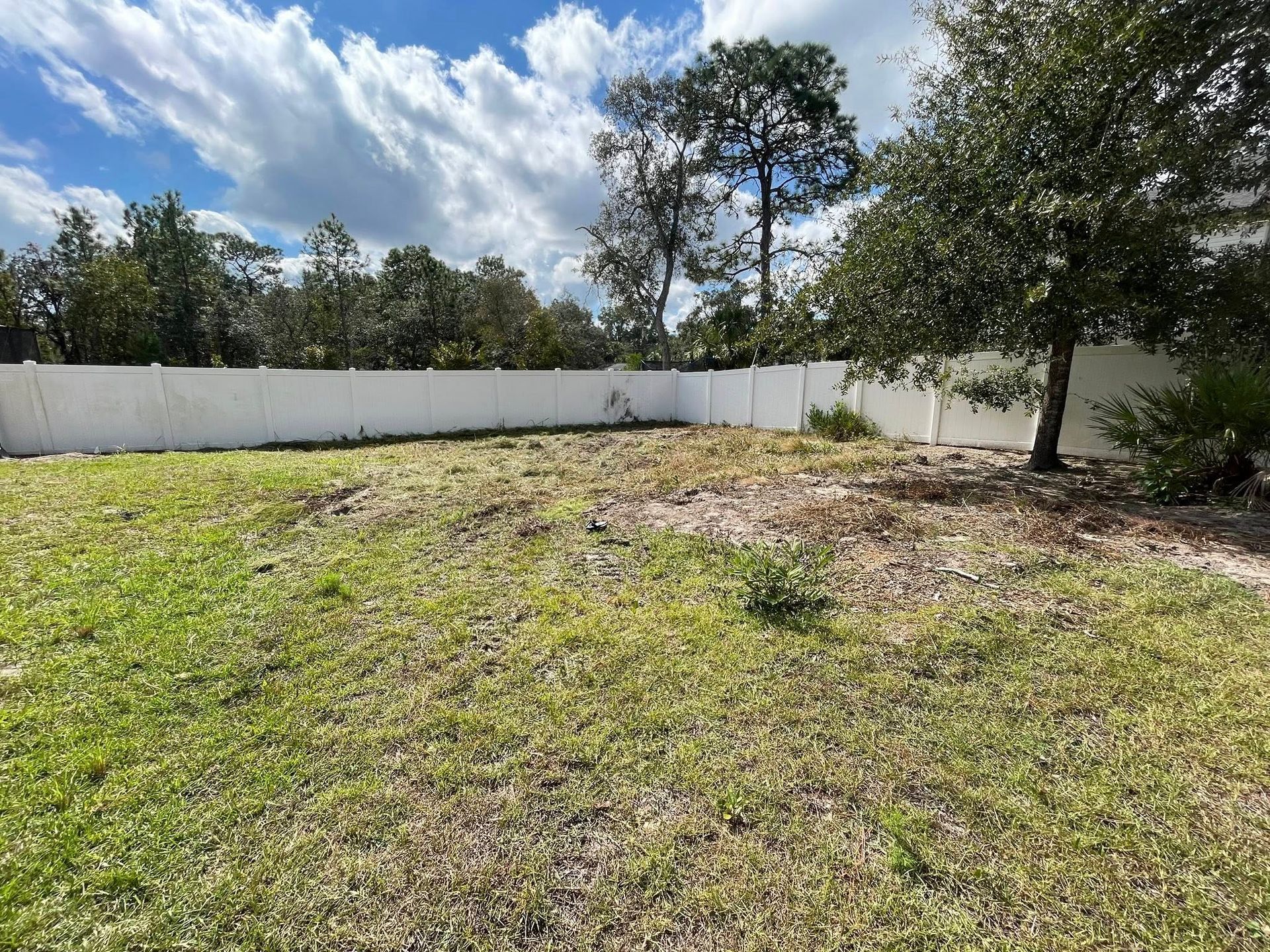 A mostly grassy backyard with a white fence, trees, and cloudy blue sky.