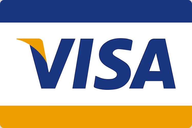 Visa logo with blue text and gold accent on a white background