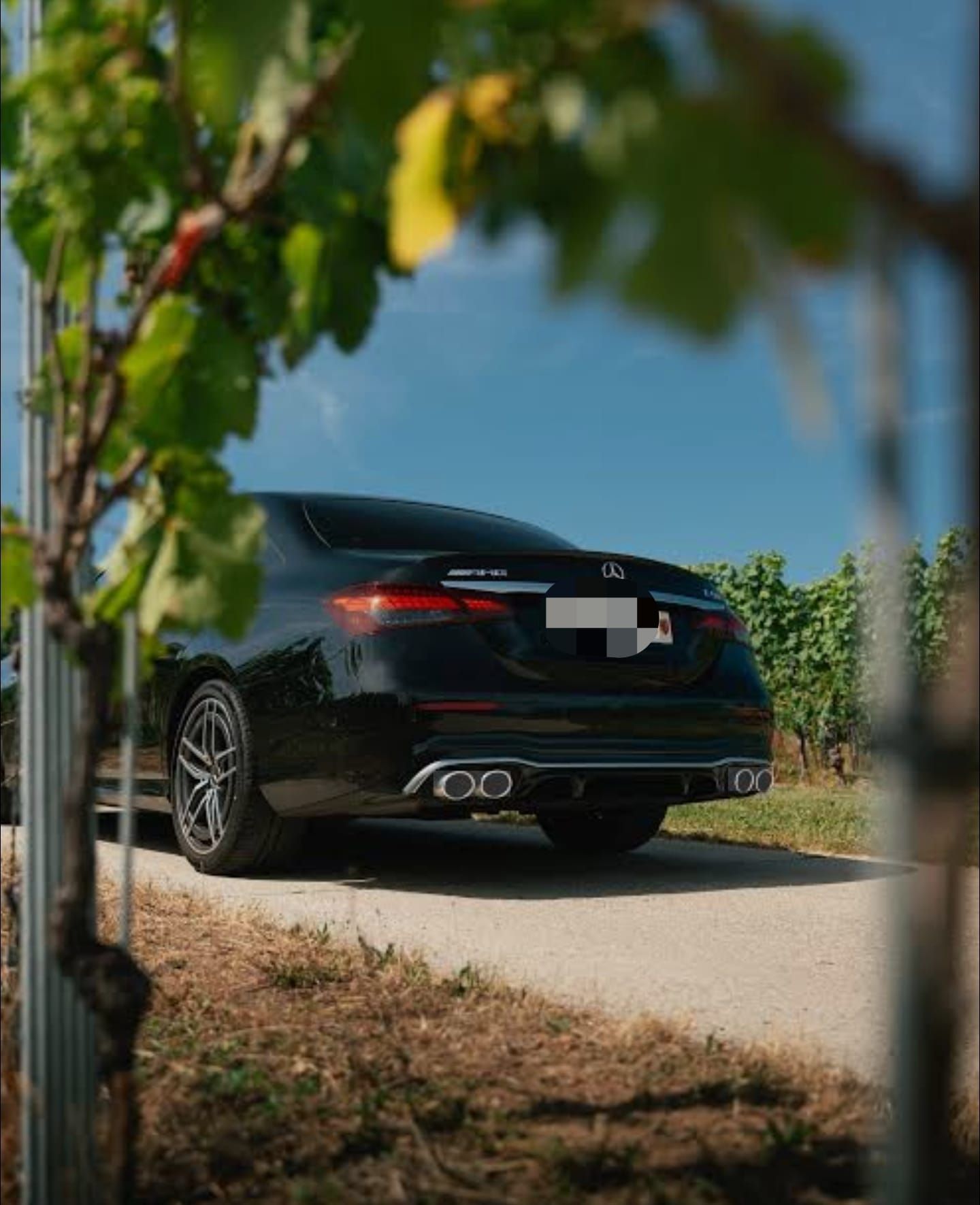 Berline Mercedes-AMG noire sur un chemin de gravier, vue à travers les branches d'un vignoble, par une journée ensoleillée.