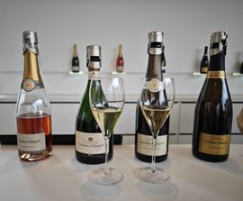 Vue intérieure d'un van de luxe avec sièges en cuir noir, éclairage d'ambiance et fenêtres donnant sur une forêt.