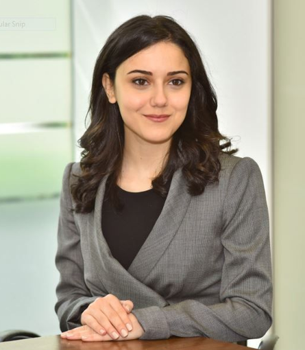Sumner Consulting Parvin Badalbayli