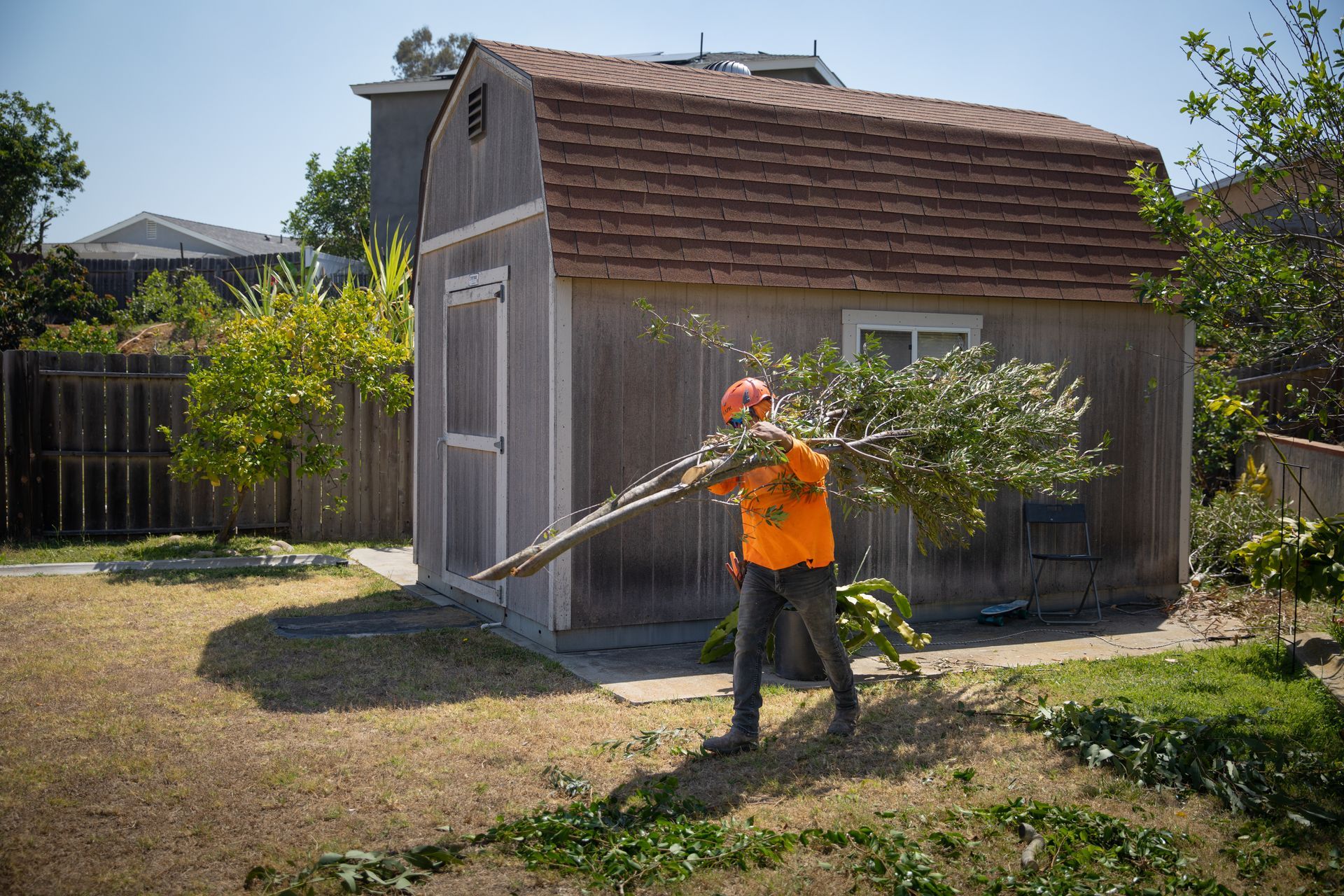 Person in orange shirt gardening beside a red shed in a backyard.