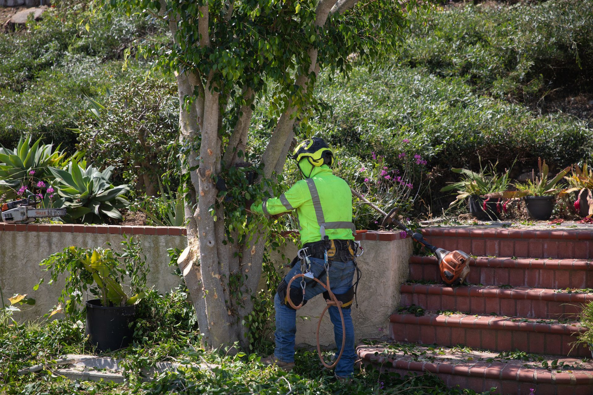 Person in a bright green shirt climbing a tree amid dense green foliage under a blue sky