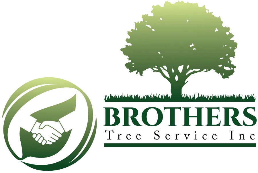 Brothers Tree Service Inc. logo with green tree and handshake icon