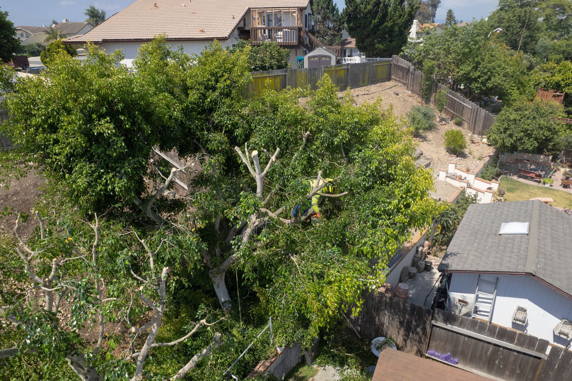 Backyard with dense green trees, a hillside path, and houses in the background