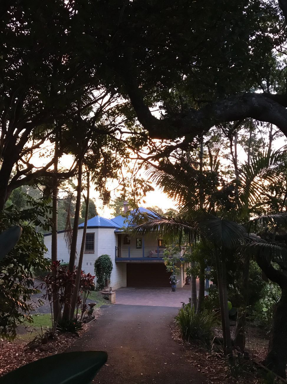 A house with a blue roof is surrounded by trees