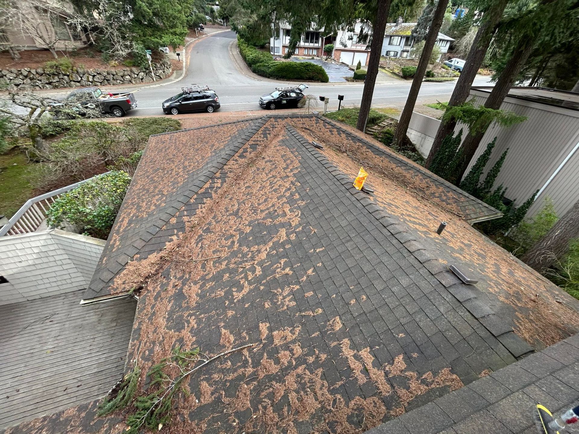 Roof covered in fallen leaves, overlooking a street with parked cars and trees.
