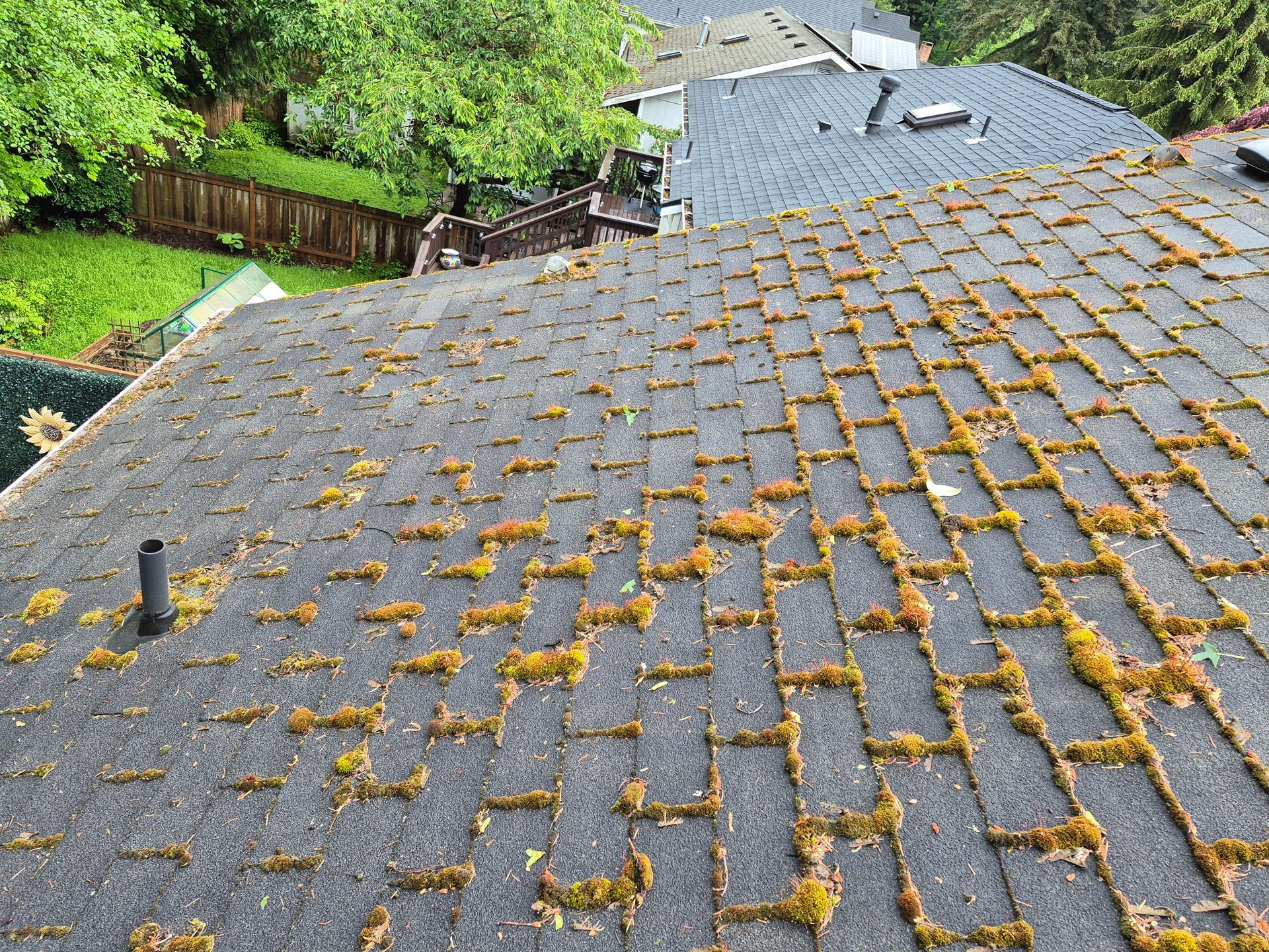 Moss-covered gray shingle roof on a house beside green trees and a backyard fence.