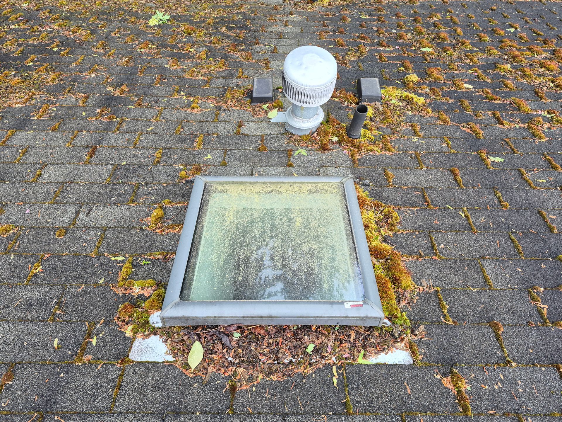 Ground-level skylight and utility vent on a leaf-strewn paved surface.