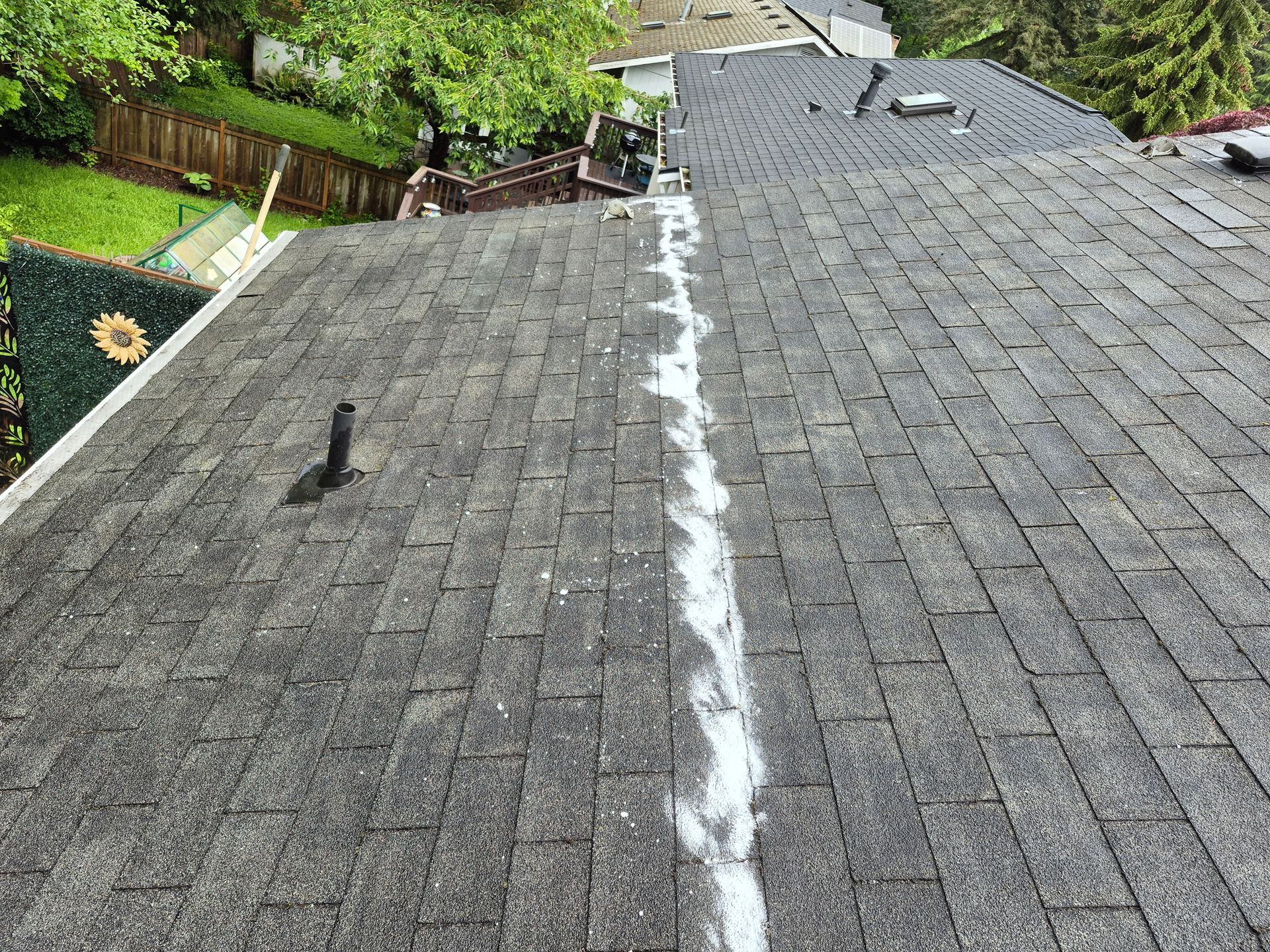 Rooftop with a long white seam running down gray shingles, bordered by green trees.