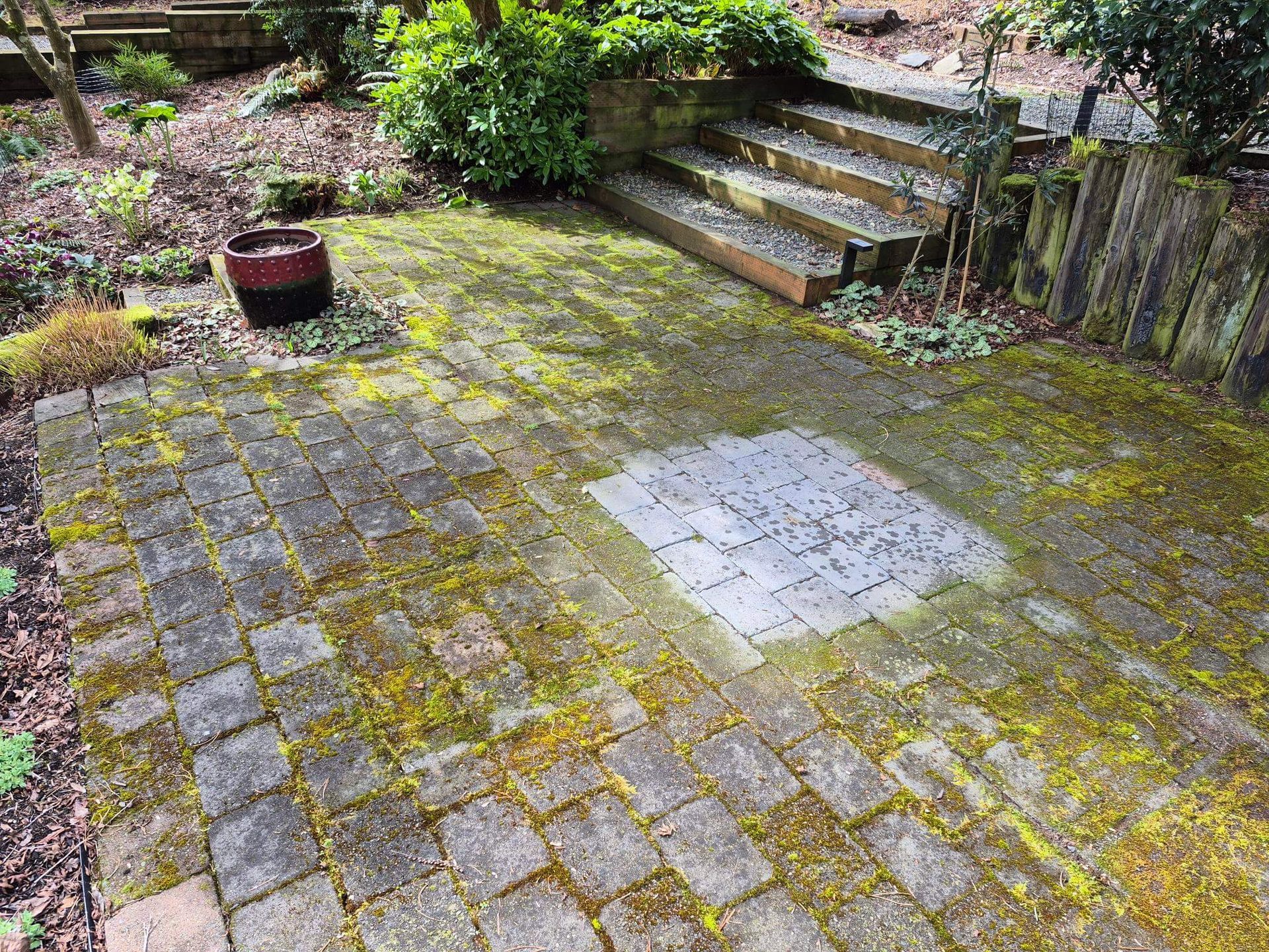 Moss-covered stone patio with steps, a potted plant, and a square concrete patch in a garden.