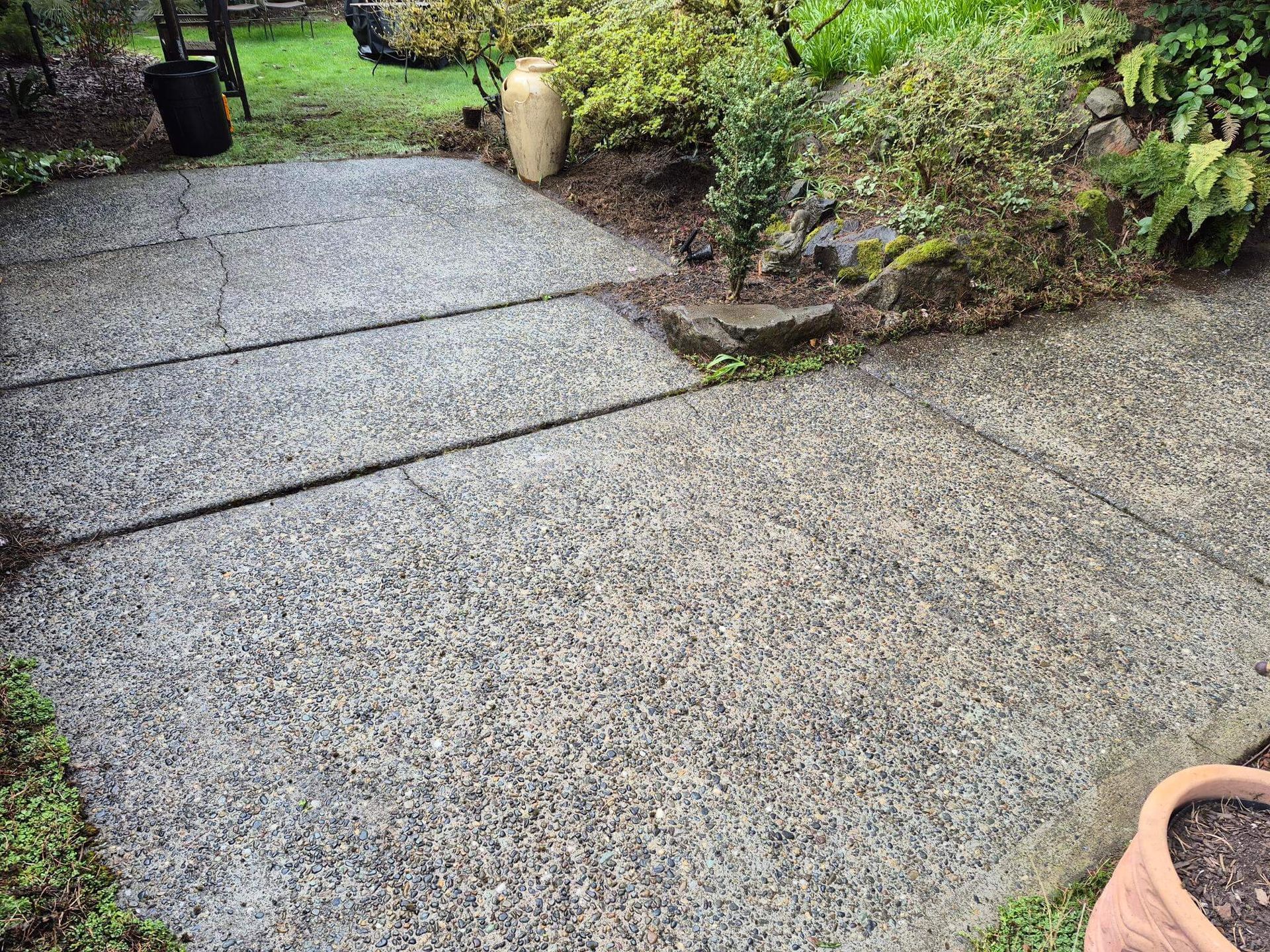 Wet concrete garden path with greenery and a planter along the side