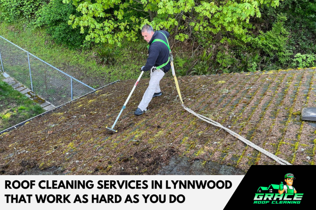 Roof cleaner on a sloped mossy roof using a hose, with text: “Roof Cleaning Services in Lynnwood That Work as Hard as You Do”