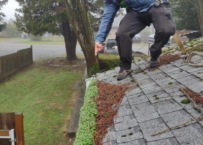 Person climbing a wet shingled roof beside a tree in rainy weather.