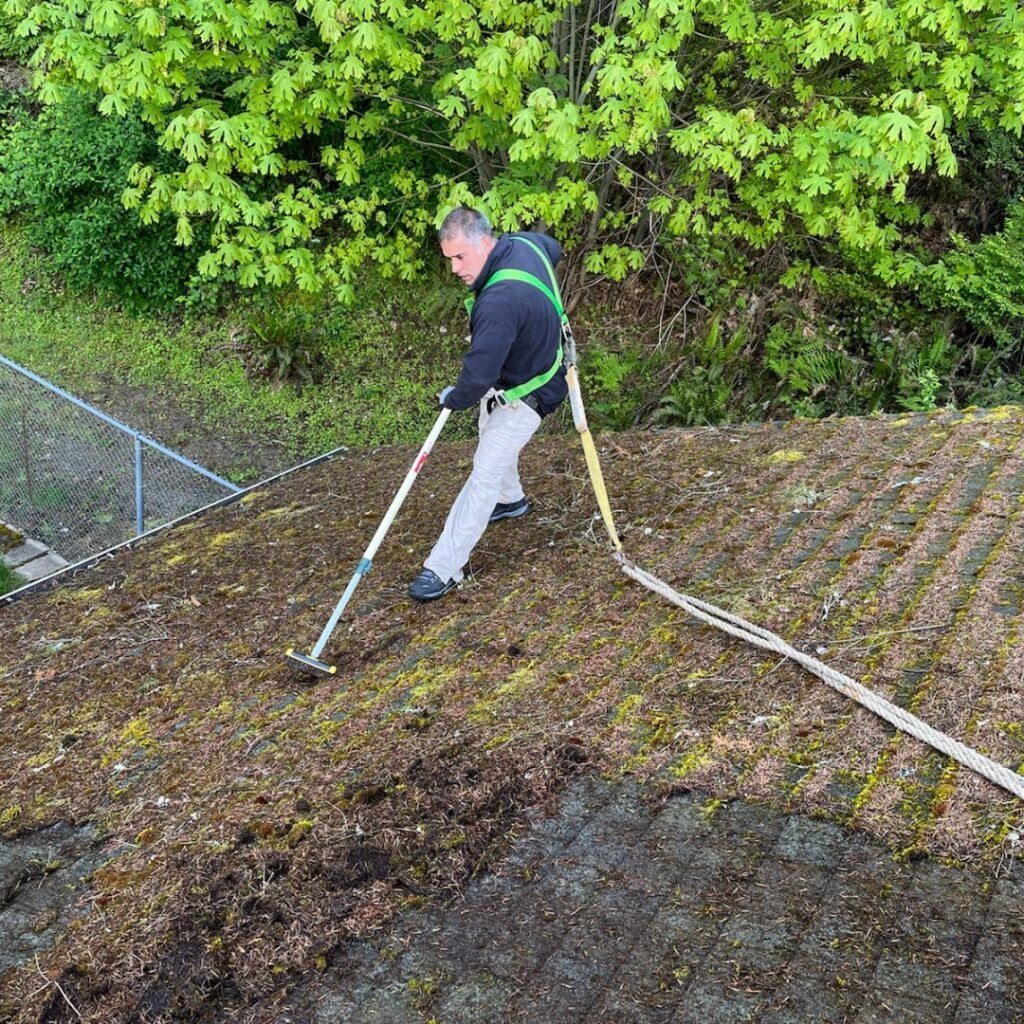 Person on a mossy roof using a long-handled tool, with a hose trailing behind. Person on a mossy roof using a long-handled tool, with a hose trailing behind.
