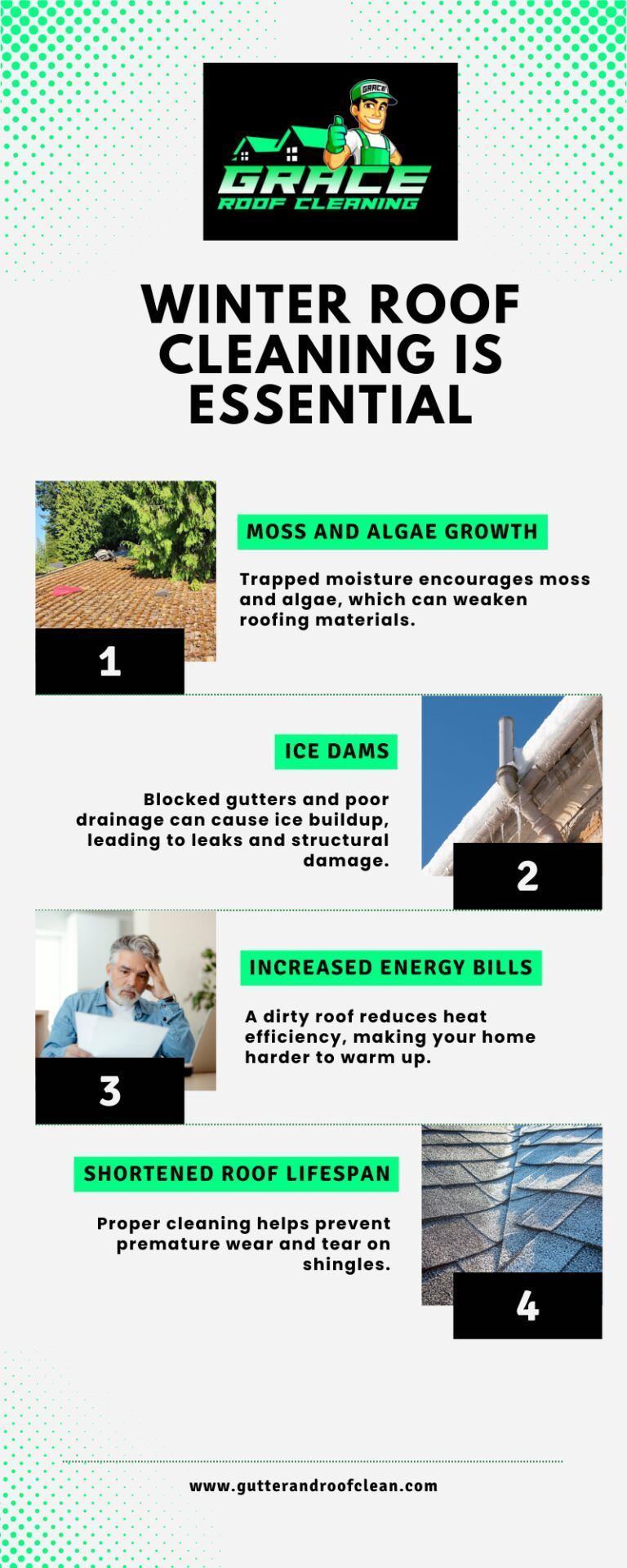 Winter roof cleaning service flyer with steps, roof photos, and green accents.