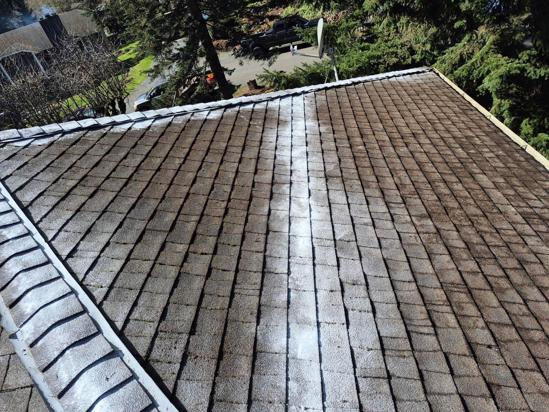 Brown tiled roof with a white streak down the center, viewed from above with trees in the background