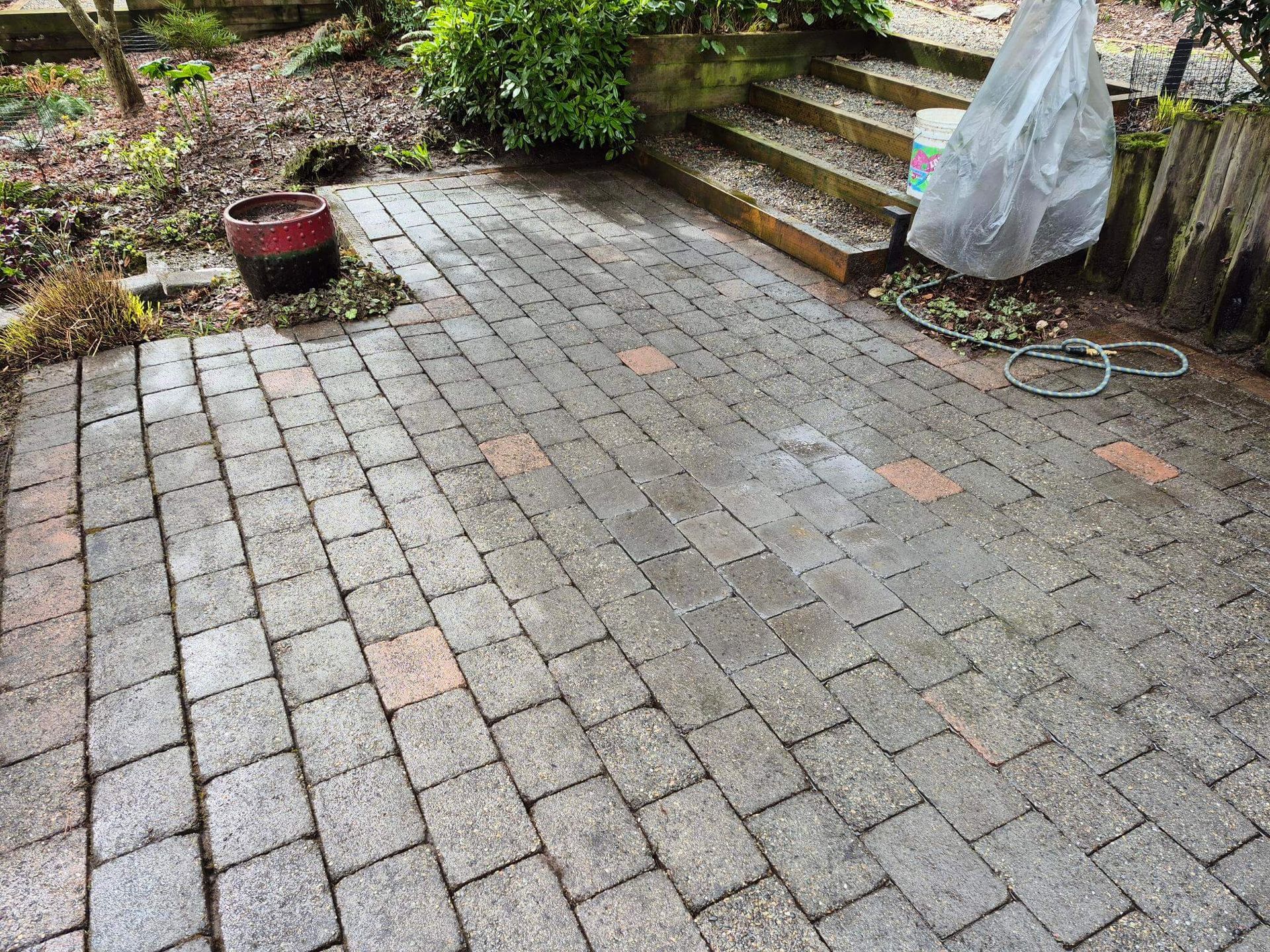 Wet cobblestone patio with steps, potted plants, and a covered object on the right.