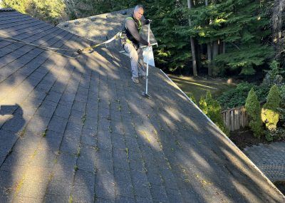 Person on a steep shingled roof using a safety ladder near trees and a house.
