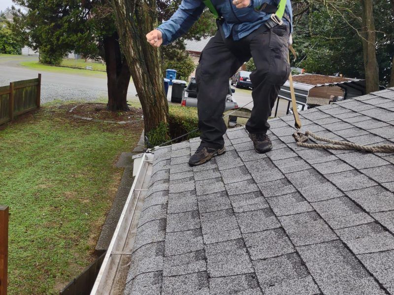 Worker on a shingled roof near a tree, inspecting or repairing the edge of the roof