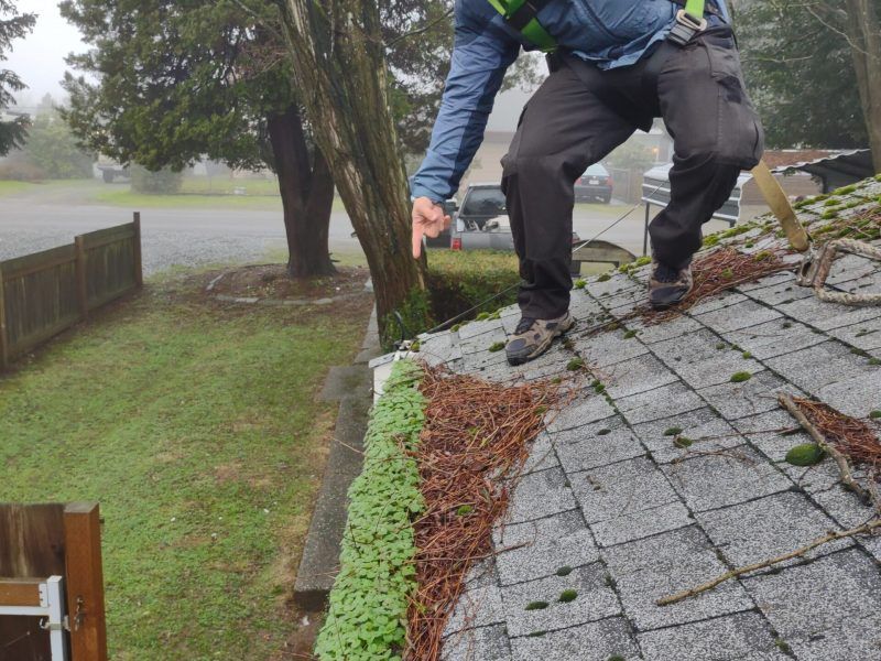 Person working on a steep shingled roof beside a tree in rainy weather
