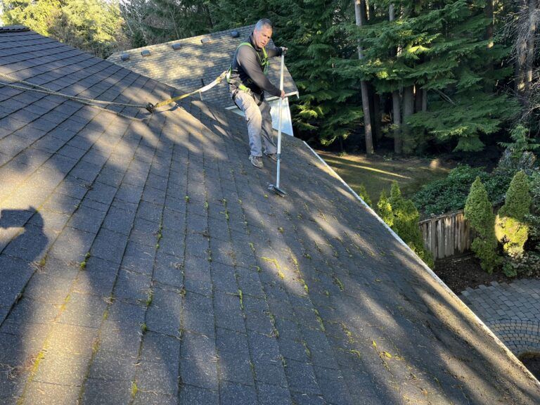 Worker in gloves cleaning moss from a shingled roof with a gutter vacuum.